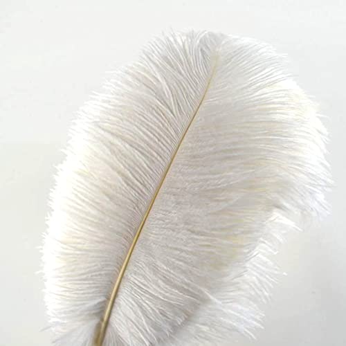 10 plumas de avestruz Crenze de 30 a 35 cm para decoración de bodas (10 colores)