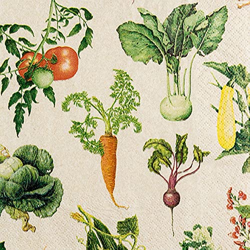 20 servilletas Eco Line sostenibles de papel reciclado 100% vegetales | jardín | comida | verano | decoración de mesa 33 x 33 cm