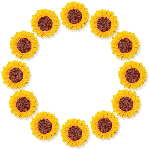 3D Girasol Lindos imanes de Nevera, Colorido Fuerte Decorativo Divertido imanes de Nevera para Pizarra, Cocina y Oficina (12 Piezas)