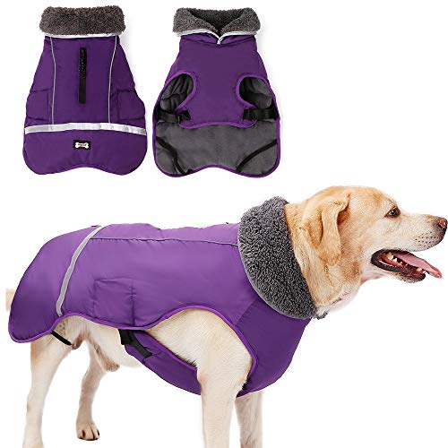 Abrigos impermeables para perros y clima frío, ropa cálida para perros, chaquetas para actividades al aire libre en interiores (morado, talla XXL)
