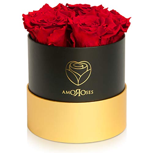 Amoroses Petite - Caja de Regalo 5 Rosas Eternas Estabilizadas - Elegante Ramo de Flores Reales | Idea de regalo (Petite Caja Negra con Rosas Rojas)