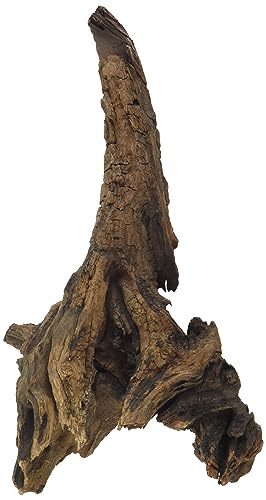 Amtra Legno Mystic Wood Decoración Natural Para Acuarios, Paludarios y Terrarios, 20-30 cm