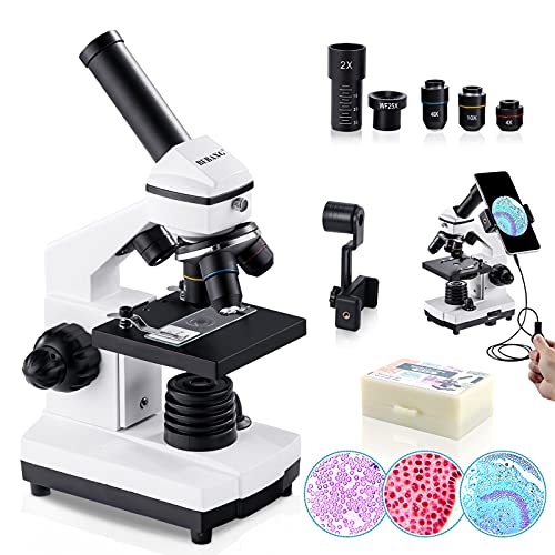 BEBANG 100X-2000X Microscopio para Niños Adultos, Profesional Biológico Microscopio para Estudiantes Escuela Laboratorio