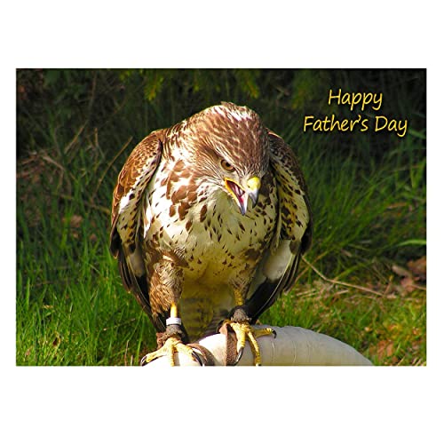 Buzzard Bird of Presa - Tarjeta para el día del padre