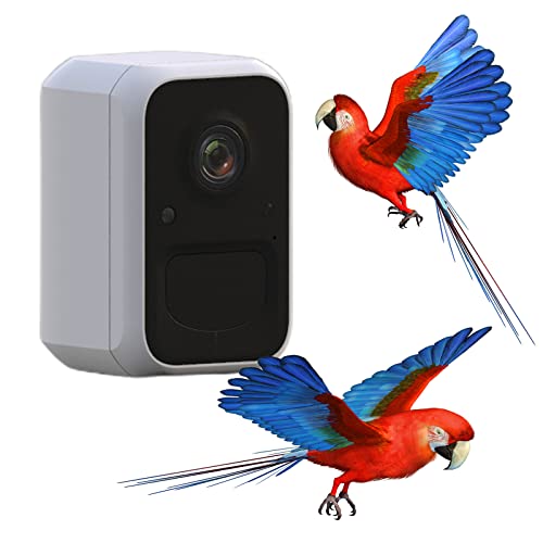 Cámara Inteligente para alimentador de pájaros, Captura automática y grabación de Videos de Aves y notificación de Movimiento Push, cámara WiFi pájaro, cámara de visión Nocturna de la Caja de Aves