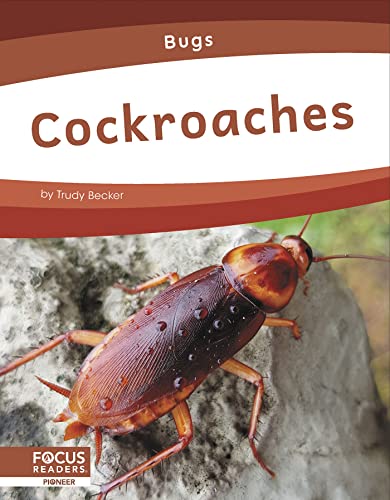 Cockroaches (Bugs)