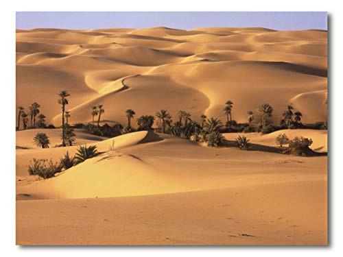 Cuadro Decoratt: Desierto del Sahara - Paisajes del mundo 48x35cm. Cuadro de impresión directa.