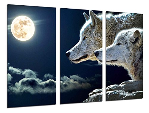 Cuadro Fotográfico Lobos con Luna Llena Tamaño total: 97 x 62 cm XXL