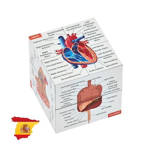Cubo de Estudio de Anatomía Humana EN ESPAÑOL | Estudia 9 partes del cuerpo humano | Cubo Modelo de Anatomía | Excelente regalo para enfermeras y estudiantes de medicina