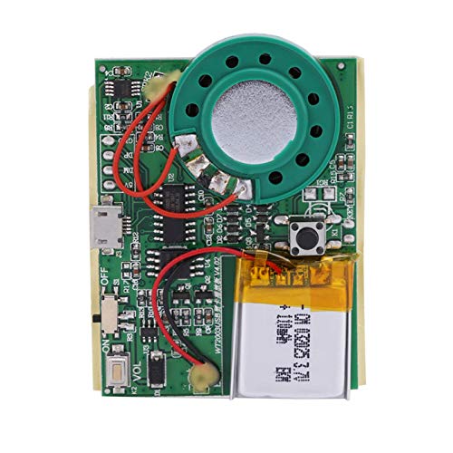 Dechoga Módulo de Sonido, Chip de Sonido USB programable Módulo de reproducción de Voz de grabación de 1 W, módulo de grabación de Voz para Bricolaje Audio de Voz Juguetes(Versión Sensible a la luz)