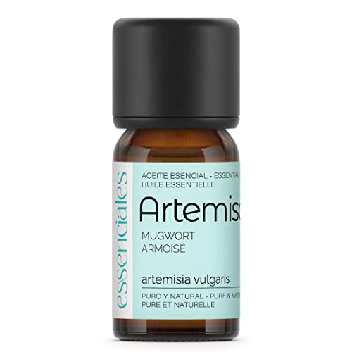 Essenciales - Aceite Esencial de Artemisa, 100% Puro, 10 ml | Aceite Esencial Absinthium spicatum