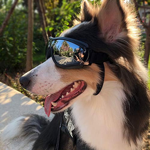 Gafas de sol con correa ajustable, gafas de sol UV, protección contra el desgaste de los ojos, gafas de sol para perros, impermeables, protección contra el polvo, para perros grandes/medianos