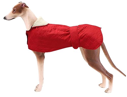 Geyecete - Abrigo cálido térmico Acolchado para Perro Galgo, con Bandas Ajustables, para Invierno Clima frío,Ropa con Agujero del arnés, para medianos y Grandes Perros-Rojo-M