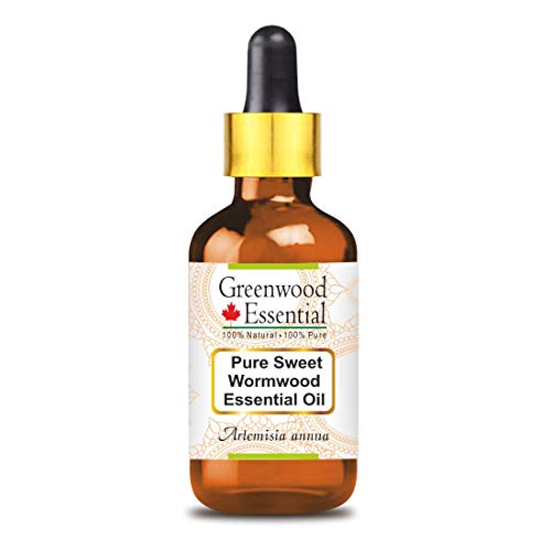 Greenwood Essential Puro Sweet Wormwood Aceite Esencial (Artemisia annua) con gotero de vidrio 100% Natural de Grado Terapéutico Destilado al Vapor 30ml (1 oz)