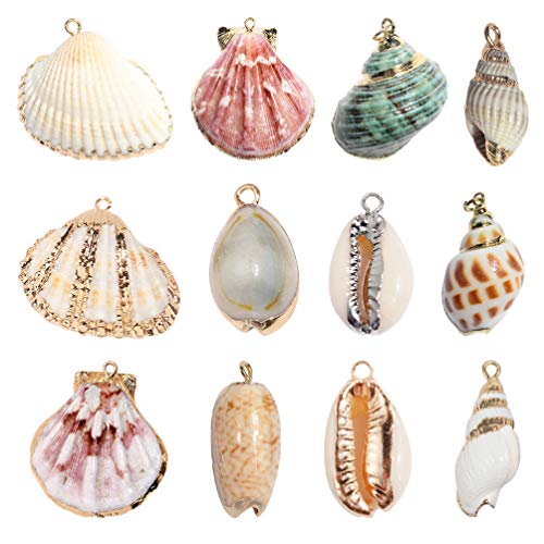 Happyyyami - Lote de 12 conchas naturales bañadas en oro con forma de conchas y conchas para la playa, joyas de fabricación de perlas y bricolaje, suministros de artesanía para collar o hebilla