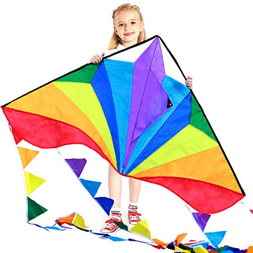 HONBO Cometa infantil grande delta Kites para niños y adultos para juegos de playa, perfecto para principiantes, línea de cuerdas con juguetes fáciles de volar con cola de colores