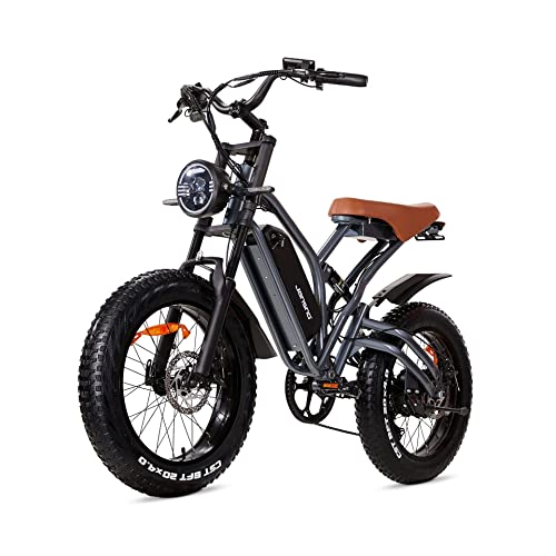 JANSNO Bicicleta Eléctrica 20" x 4.0 Fat Tire, Shimano 7vel, Frenos de Disco mecánicos Delanteros y Traseros, Bicicleta eléctrica para Adultos, batería extraíble de 48V 12.8Ah