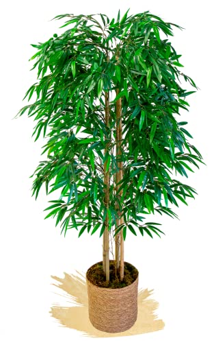 Maia Shop Bambú Cañas Naturales, Ideal para Decoración de Hogar, Planta, Árbol Artificial (150 cm)