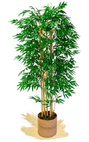 Maia Shop Bambú Cañas Naturales, Ideal para Decoración de Hogar, Planta, Árbol Artificial (180 cm)