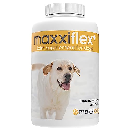 maxxidog - maxxiflex+ Suplemento avanzado para las articulaciones del perro - Glucosamina, condroitina, MSM, ácido hialurónico, garra del diablo, bromelina, cúrcuma - 120 tabletas