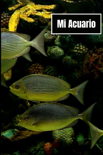 Mi Acuario: Libro sobre el cuidado de los peces para niños, adolescentes y adultos | Cuaderno personal para acuaristas | cuaderno para organizar el mantenimiento del acuario.