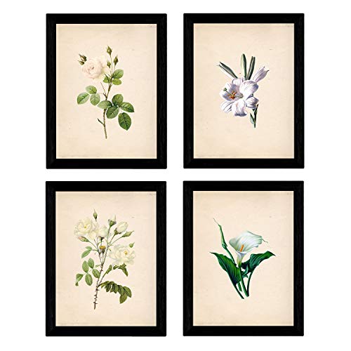 Nacnic - Pack Láminas Flores Blancas Vintage - Pósters Decorativos Estilo Naturaleza, Botánica y Plantas - Decoración Mural Elegante y Delicada