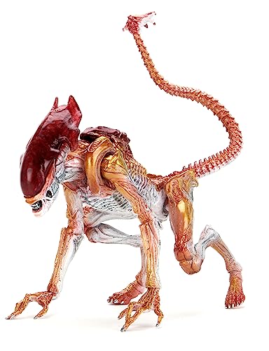 NECA - Figura de acción Aliens Kenner Tribute ULT Panther Alien 7.