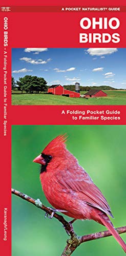 Ohio Birds: A Folding Pocket Guide to Familiar Species (Wildlife and Nature Identification) [Idioma Inglés]