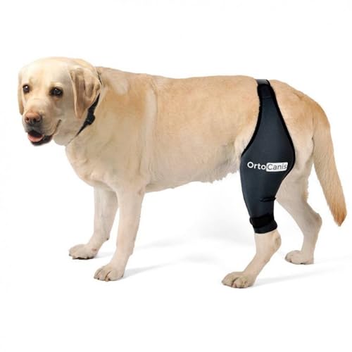 Ortocanis - Protector de Rodilla para Perros con Lesiones de Ligamentos Cruzados, Luxación de Rótula o Artrosis, Talla L Pierna Izquierda