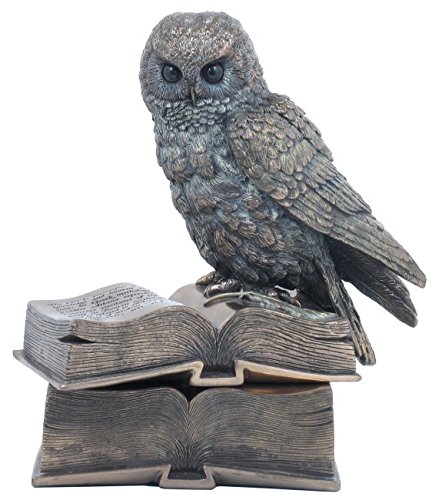 Owl – Strix de la conocimiento sobre libro recinto