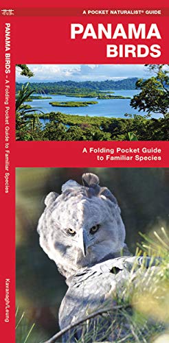 Panama Birds: A Folding Pocket Guide to Familiar Species (Pocket Naturalist Guide) [Idioma Inglés]