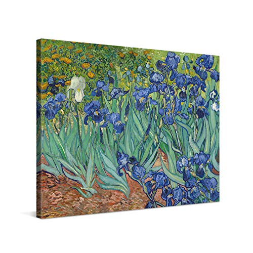 PICANOVA – Vincent Van Gogh Irises 100x75cm – Cuadro Sobre Lienzo – Impresión En Lienzo Montado Sobre Marco De Madera (2cm) – Disponible En Varios Tamaños
