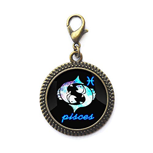 Piscis - Tirador de cremallera con símbolo de Piscis, joyería de Piscis, joyería minimalista del zodiaco, delicada cremallera JV29