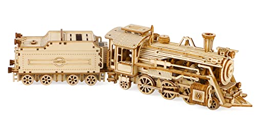 ROKR Tren Madera Maquetas para Construir - Maquetas para Montar - Set de Construcción Puzzle 3D para niños y Adultos (Prime Steam Express)