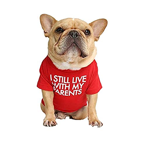 ShopINess Camiseta Perro y Mascotas con Texto: Todavía Vivo Con Mis Padres (Rojo, L)