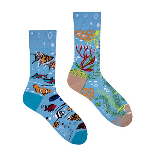 Spox Sox Casual Unisex - calcetines coloridos y estampados, ocasionales para individualistas - regalo divertido, 36-39, Acuario