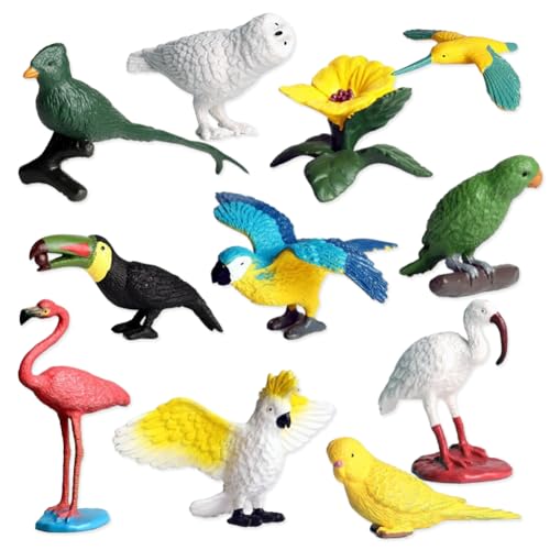 SWZY 10Piezas Realistas Minifiguras de Aves,Modelo de Pájaro en Miniatura,Estatuas Figuras Pájaros de Juguetes Educativo Figuras de Animales Aves Decoración de Pasteles Decoración del Coche Casa