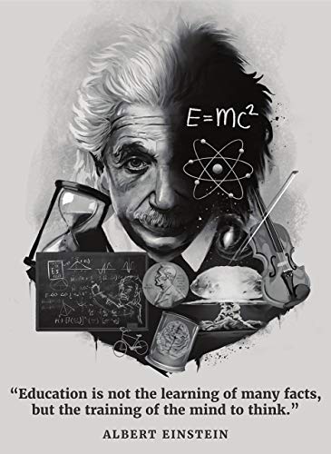 Tainsi Albert Einstein - Cita inspiradora y motivadora, 12 x 18 pulgadas, 30 x 46 cm