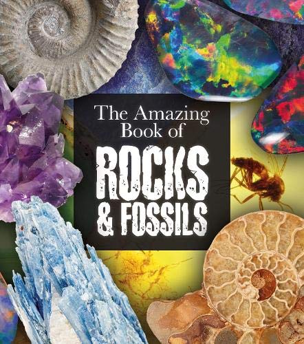 The Amazing Book of Rocks and Fossils (Amazing Books)