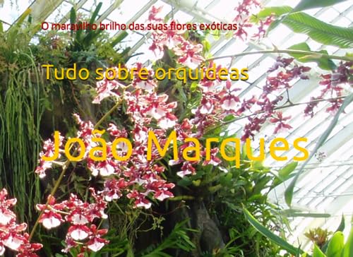 Tudo sobre orqúideas: O maravilho brilho das suas flores exóticas
