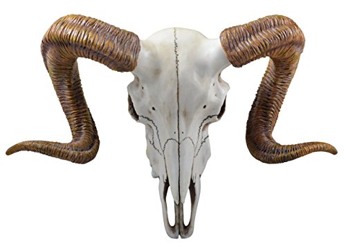 Veronese - Figura Decorativa de cráneo de Carnero