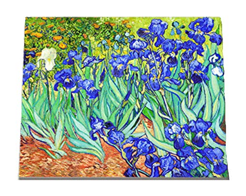 WOWDECOR Kit de pintura por números para adultos y niños, pintura con números de Van Gogh Iris Flowers 40 x 50 cm, lienzo estampado (sin marco)